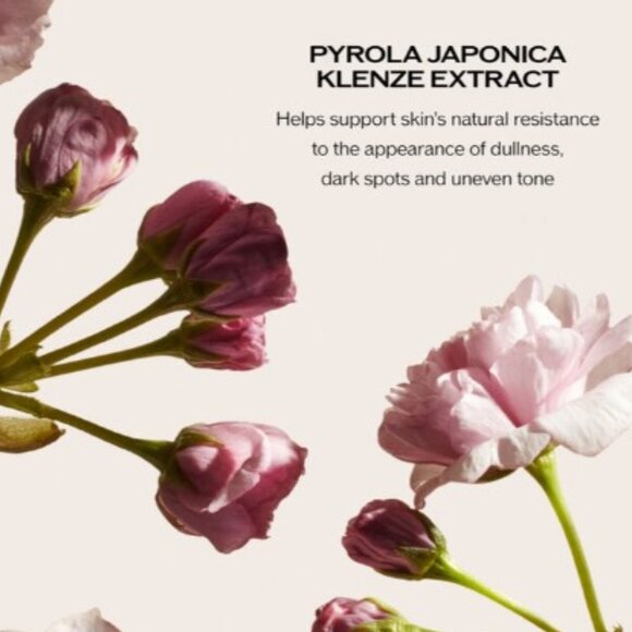 SHISEIDO White Lucent MultiBright Night Cream For All Skin Types - Picture 7 of 9